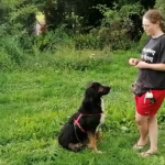 Grunderziehung