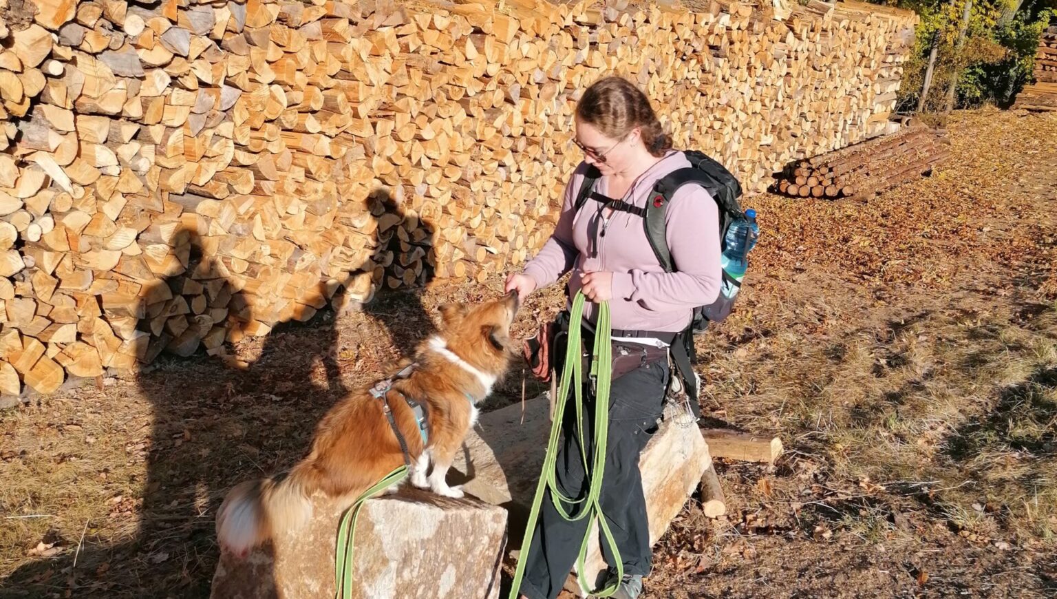 Alltagstraining